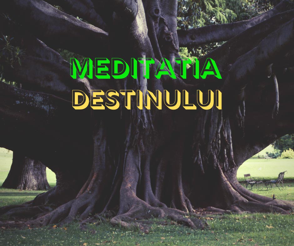 meditatia destinului